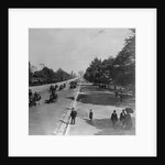 Famous Bois De Boulogne by Anonymous
