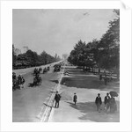 Famous Bois De Boulogne by Anonymous
