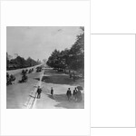 Famous Bois De Boulogne by Anonymous