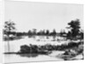 Flooded Area in Forrest City Arkansa by Anonymous