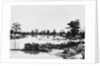 Flooded Area in Forrest City Arkansa by Anonymous