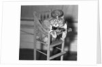 Persian Cat Wearing a Costume by Anonymous