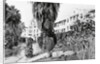 Exterior View of the Beverly Hills Hotel by Anonymous