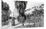 Exterior View of the Beverly Hills Hotel by Anonymous