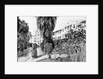 Exterior View of the Beverly Hills Hotel by Anonymous