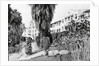 Exterior View of the Beverly Hills Hotel by Anonymous