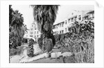 Exterior View of the Beverly Hills Hotel by Anonymous