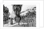 Exterior View of the Beverly Hills Hotel by Anonymous