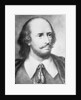 Illustrated Portrait of William Shakespeare by Anonymous