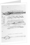 Bill of Rights Page Two by Anonymous