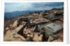 Fire Support Base Delta One in Laos by Anonymous
