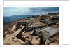Fire Support Base Delta One in Laos by Anonymous