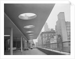 Museum of Modern Art Terrace by Anonymous