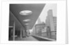 Museum of Modern Art Terrace by Anonymous