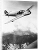 Airplane During Race Flight by Anonymous