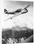 Airplane During Race Flight by Anonymous