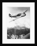 Airplane During Race Flight by Anonymous