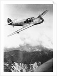 Airplane During Race Flight by Anonymous