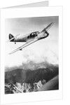 Airplane During Race Flight by Anonymous
