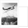 Airplane During Race Flight by Anonymous