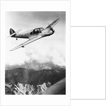 Airplane During Race Flight by Anonymous