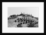Exterior View of William R. Hearst's Castle with Landscape by Anonymous