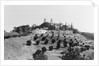 Exterior View of William R. Hearst's Castle with Landscape by Anonymous
