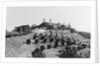 Exterior View of William R. Hearst's Castle with Landscape by Anonymous