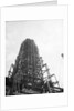 Skeleton of Empire State Building by Anonymous