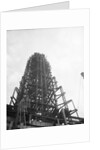 Skeleton of Empire State Building by Anonymous