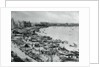 Aerial view of Bund in Shanghai by Anonymous