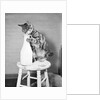 Cat Standing on Stool with Milk Bottle by Anonymous