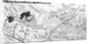 Map of the U.S. Front by Anonymous