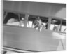 Rin Tin Tin Posing in Airplane by Anonymous