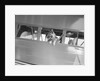 Rin Tin Tin Posing in Airplane by Anonymous