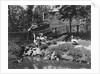 Pelicans Being Feed at Philadelphia Zoo by Anonymous