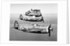 View of The Republic P-47B "Thunderbolt" by Anonymous