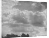 Cumulus Clouds by Anonymous