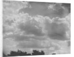 Cumulus Clouds by Anonymous