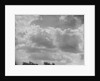 Cumulus Clouds by Anonymous