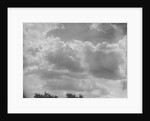 Cumulus Clouds by Anonymous