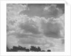 Cumulus Clouds by Anonymous