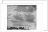 Cumulus Clouds by Anonymous