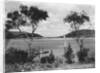 Southwest Harbor Looking Toward Somes Sound in Maine by Anonymous