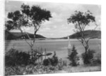 Southwest Harbor Looking Toward Somes Sound in Maine by Anonymous