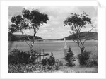 Southwest Harbor Looking Toward Somes Sound in Maine by Anonymous