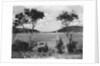 Southwest Harbor Looking Toward Somes Sound in Maine by Anonymous