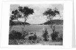 Southwest Harbor Looking Toward Somes Sound in Maine by Anonymous