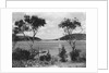 Southwest Harbor Looking Toward Somes Sound in Maine by Anonymous