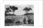 Southwest Harbor Looking Toward Somes Sound in Maine by Anonymous